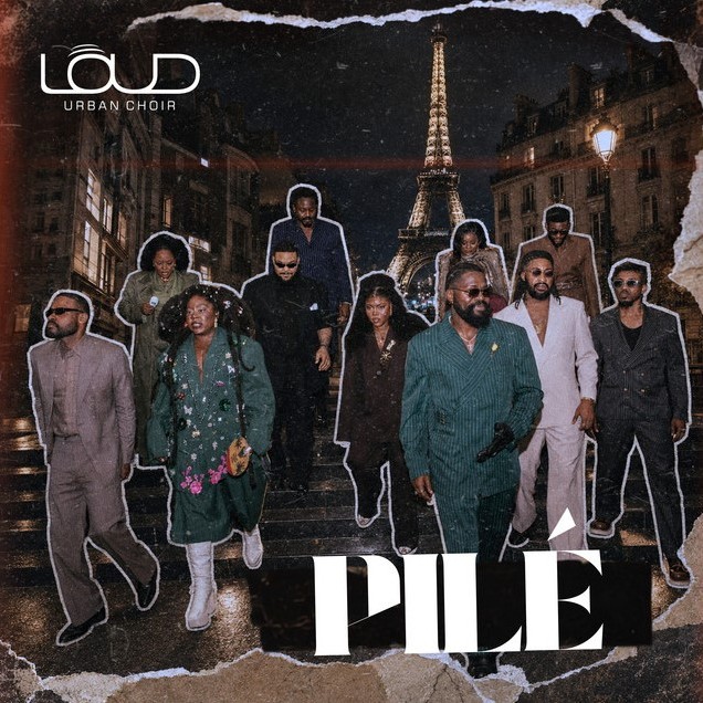 Pile cover art